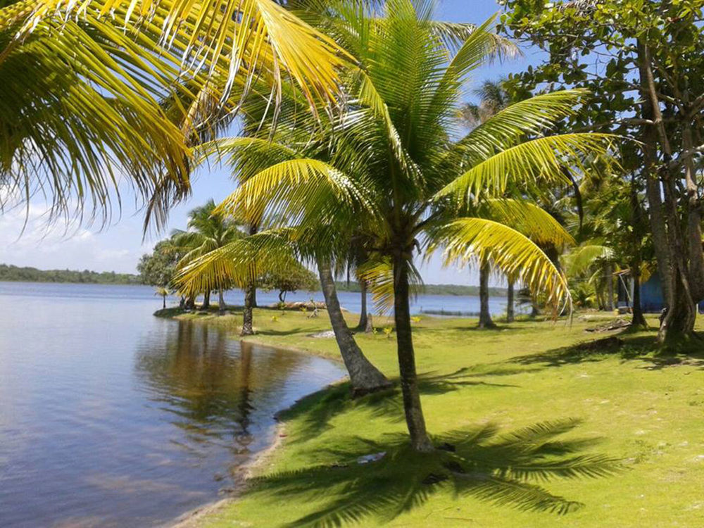 Htl Tubarao Hotel Barra Grande  Exterior photo